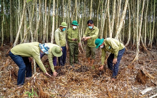 Bản tin n&#244;ng sản 11/6: N&#244;ng d&#226;n ứng ph&#243; với gi&#225; vật tư tăng cao - Ảnh 1