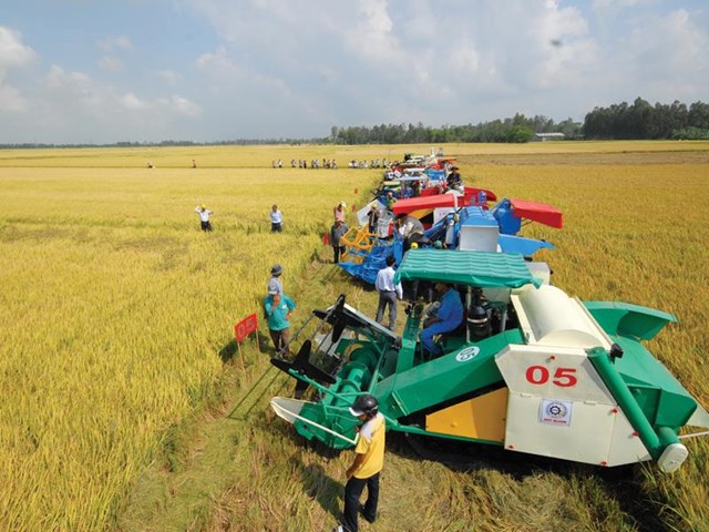 Bản tin n&#244;ng sản 11/6: N&#244;ng d&#226;n ứng ph&#243; với gi&#225; vật tư tăng cao - Ảnh 2