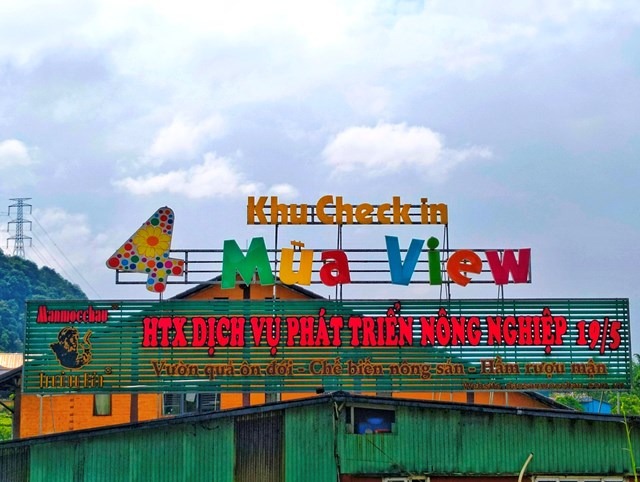 HTX Dịch vụ phát triển Nông nghiệp 19-5 có địa chỉ tại tiểu khu Chiềng Đi, Thị trấn Nông trường Mộc Châu, huyện Mộc Châu, Sơn La. ảnh A Trứ