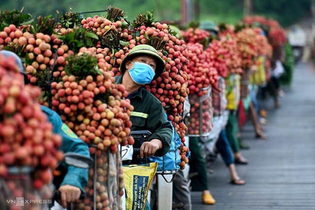 Bản tin n&#244;ng sản 13/6: Ph&#225;t huy tiềm năng sản phẩm đặc trưng của địa phương - Ảnh 2