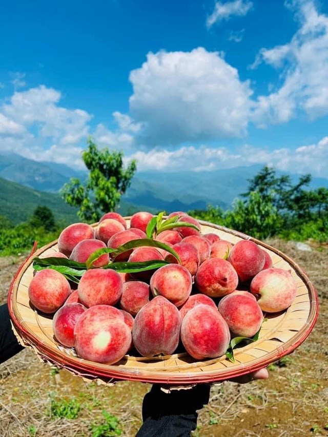 Y T&#253; m&#249;a nước đổ - bức họa tuyệt đẹp lưng chừng trời - Ảnh 9