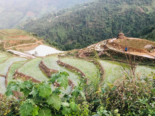 Y T&#253; m&#249;a nước đổ - bức họa tuyệt đẹp lưng chừng trời - Ảnh 5