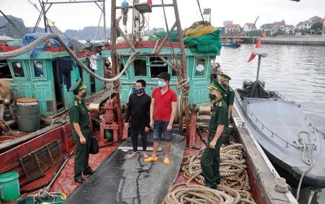 Quảng Ninh tăng cường c&#225;c giải ph&#225;p bảo vệ nguồn lợi thủy sản - Ảnh 2