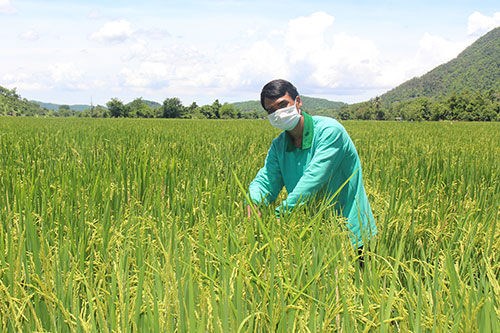 Bản tin n&#244;ng nghiệp 17/6: C&#225;c giải ph&#225;p ph&#225;t triển n&#244;ng nghiệp đ&#244; thị - Ảnh 2