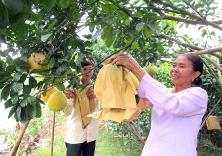 Bản tin n&#244;ng sản 18/6: Cơ hội cho c&#225; tra Việt Nam tại thị trường Mỹ v&#224; EU - Ảnh 3