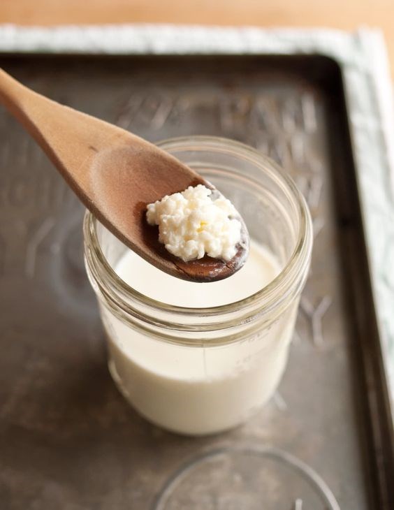 Kefir – Si&#234;u thực phẩm l&#234;n men đang khuấy đảo cộng đồng - Ảnh 2