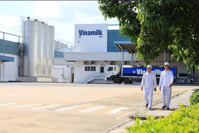 Vinamilk l&agrave; thương hiệu sữa duy nhất của Việt Nam năm thứ 3 li&ecirc;n tiếp v&agrave;o Fortune Southeast Asia 500 (Ảnh: VN). &nbsp;