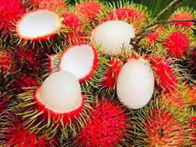 Kh&#225;m ph&#225; sức hấp dẫn của tr&#225;i c&#226;y Việt trong m&#249;a h&#232; - Ảnh 4