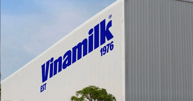 Vinamilk l&agrave; doanh nghiệp sữa duy nhất từ Việt Nam trong Top 500 Fortune khu vực Đ&ocirc;ng Nam &Aacute; 2024. &nbsp;