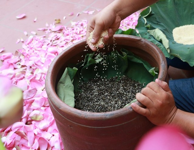 Tr&#224; ướp gạo sen: G&#243;i trọn an nhi&#234;n trong hương vị tinh kh&#244;i - Ảnh 2