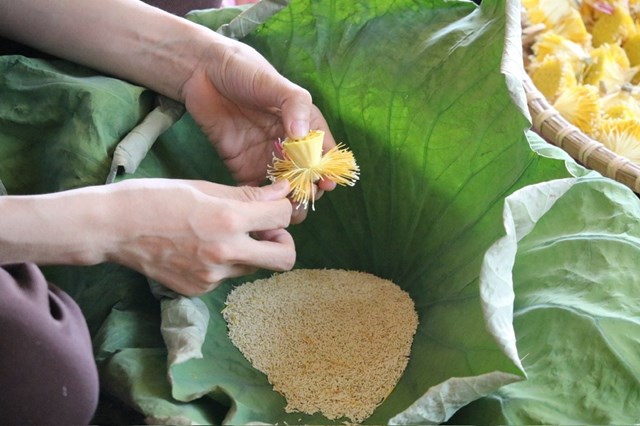 Tr&#224; ướp gạo sen: G&#243;i trọn an nhi&#234;n trong hương vị tinh kh&#244;i - Ảnh 1