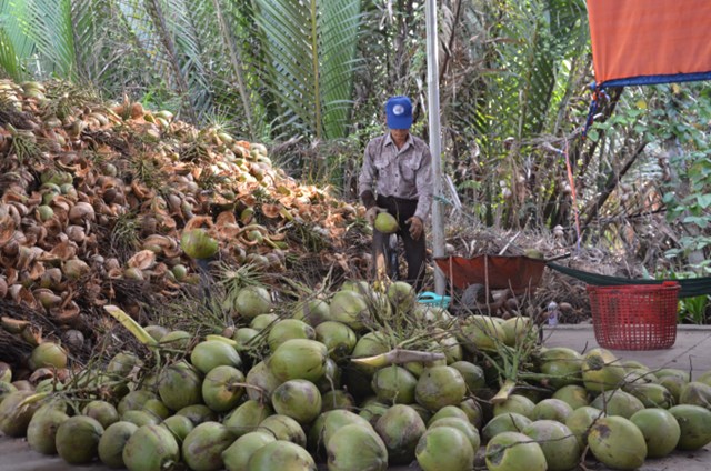 Bản tin n&#244;ng sản 23/6: Nhiều thị trường mới cho n&#244;ng sản Việt - Ảnh 4