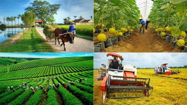 Kinh tế n&ocirc;ng th&ocirc;n: Động lực mới từ v&ugrave;ng đất cũ. &nbsp;