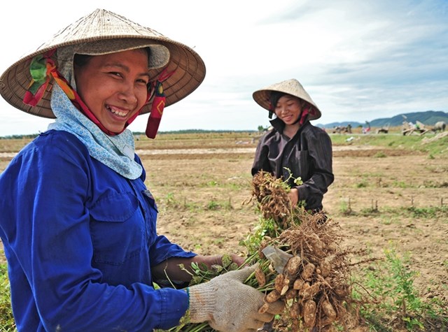 Bản tin n&#244;ng sản 24/6: B&#236;nh Dương ph&#225;t triển n&#244;ng nghiệp c&#244;ng nghệ cao - Ảnh 5