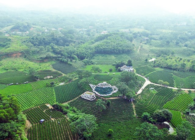 V&ocirc; Tranh x&aacute;c kỷ lục Việt Nam với m&agrave;n tạo h&igrave;nh chiếc ấm, ch&eacute;n tr&agrave; khổng lồ, tạo điểm nhấn ấn tượng