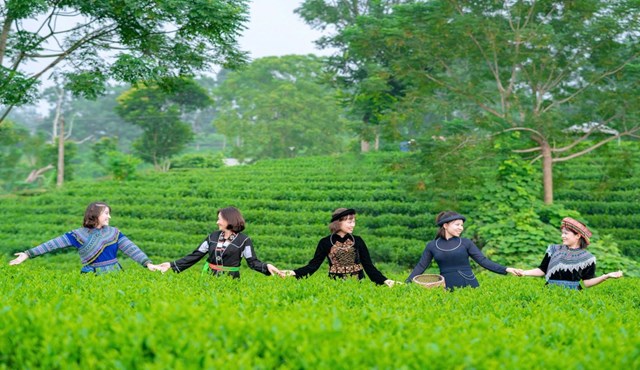 Nâng tầm thương hiệu nông sản từ trải nghiệm lữ hành - Ảnh 2