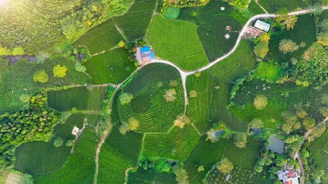 Một số t&aacute;c phẩm dự thi cuộc thi ảnh "Sắc m&agrave;u v&ugrave;ng ch&egrave;"