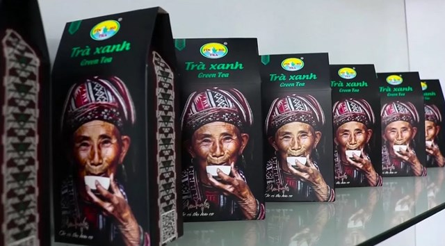 Chè Shan Tuyết Phìn Hồ nay đã xuất khẩu sang châu Âu, Nhật, giá bán khô cao gấp 5–10 lần chè tươi trước đây.