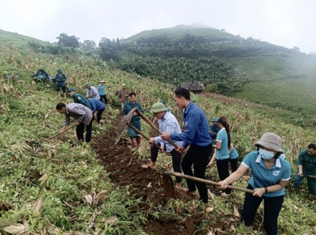 Người dân xã A Lù đồng thuận mở rộng diện tích thâm canh cây chè theo hướng hàng hóa.
