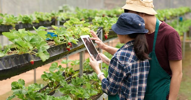 N&ocirc;ng nghiệp số v&agrave; h&agrave;nh tr&igrave;nh minh bạch h&oacute;a chuỗi cung ứng. &nbsp;