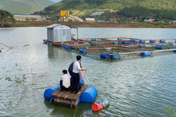 Bản tin n&#244;ng sản 27/6: Xuất khẩu c&#225; ngừ c&#243; tốc độ tăng trưởng cao - Ảnh 3