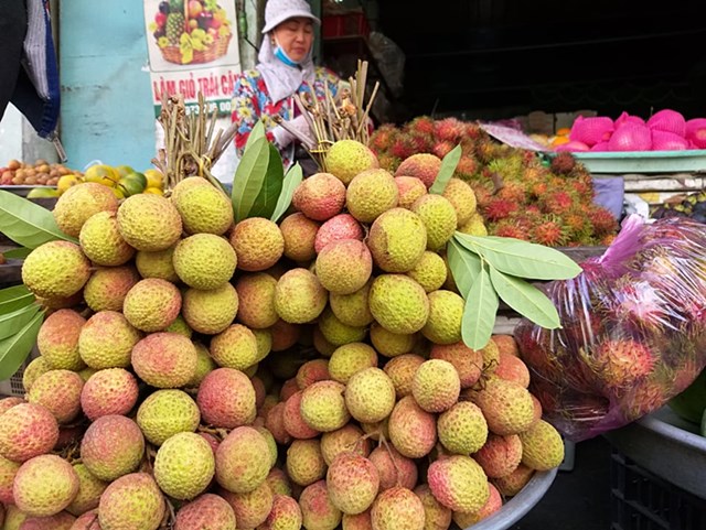 Bản tin n&#244;ng sản 28/6: T&#225;i cơ cấu n&#244;ng nghiệp theo hướng chuy&#234;n canh h&#224;ng h&#243;a - Ảnh 4