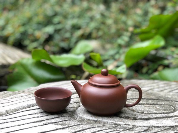 B&#237; quyết chọn ấm tr&#224;: Khi n&#224;o n&#234;n đầu tư v&#224; đ&#226;u l&#224; lựa chọn th&#244;ng minh cho người mới bắt đầu? - Ảnh 1