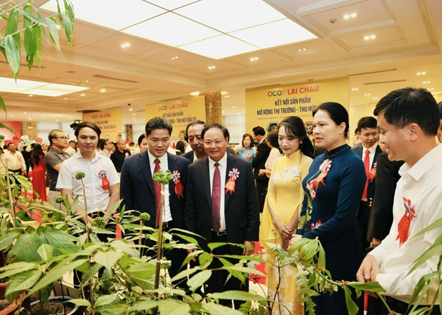 B&ecirc;n lề Hội nghị, c&aacute;c đồng ch&iacute; l&atilde;nh đạo MTTQ Việt Nam, l&atilde;nh đạo bộ, ng&agrave;nh, tỉnh Lai Ch&acirc;u c&ugrave;ng tham quan gian trưng b&agrave;y c&acirc;y S&acirc;m Lai Ch&acirc;u. &nbsp;