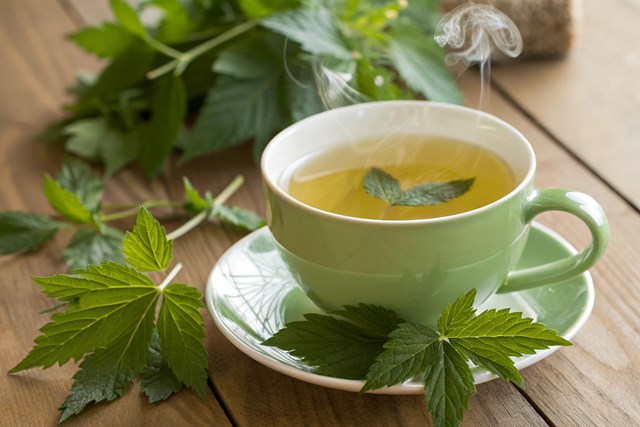 Giảo cổ lam: Thảo dược &quot;nh&#226;n s&#226;m phương Nam&quot; v&#224; những c&#244;ng dụng sức khỏe vượt trội - Ảnh 2