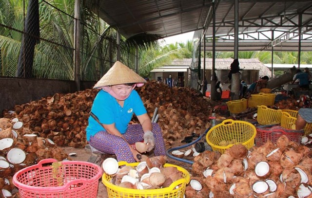 Bản tin n&#244;ng sản 5/7: Xuất khẩu n&#244;ng sản tăng trưởng vượt bậc - Ảnh 2