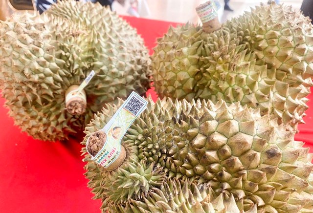 Hệ thống truy xuất nguồn gốc nông sản: Chuyển dịch từ hồ sơ giấy sang quản lý dữ liệu số - Ảnh 2
