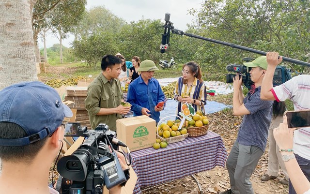 B&aacute;n h&agrave;ng n&ocirc;ng sản qua nền tảng giao dịch điện tử đang ph&aacute;t triển. (Ảnh minh họa) &nbsp;