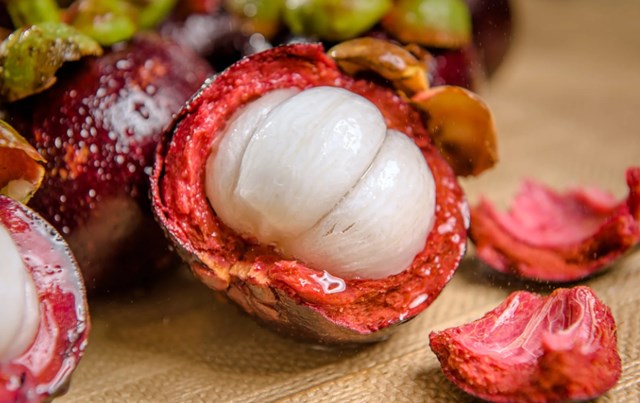 Từng là trái cây xa xỉ châu Âu, măng cụt nay tái xuất ấn tượng với vai trò nguyên liệu vàng của ngành đồ uống cao cấp.