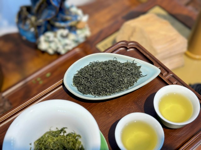 Ảnh hưởng của chiều cao cây chè đến chất lượng búp và hậu vị trong sản xuất trà đinh - Ảnh 2