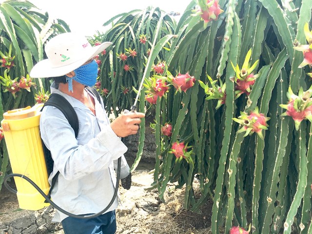 Bản tin n&#244;ng sản 13/7: Th&#237;ch ứng v&#224; ph&#225;t triển n&#244;ng nghiệp “thuận thi&#234;n” - Ảnh 5