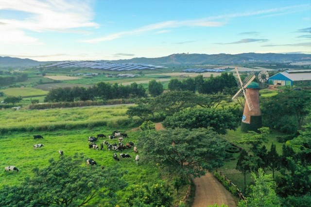 C&aacute;c trang trại tại Vinamilk đều sử dụng năng lượng mặt trời, hệ thống biogas biến chất thải đ&agrave;n b&ograve; th&agrave;nh t&agrave;i nguy&ecirc;n&nbsp;