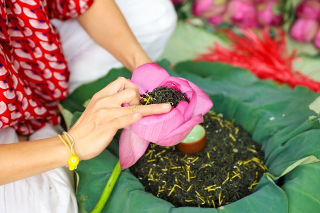 Để hương sen trọn vẹn, trà nền phải tinh tế, dung hòa vị chát dịu mà không lấn át hay đối chọi tinh dầu.