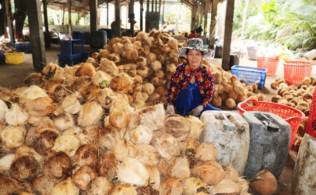 Bản tin n&#244;ng sản 15/7: H&#236;nh th&#224;nh mạng lưới ti&#234;u thụ n&#244;ng sản - Ảnh 2