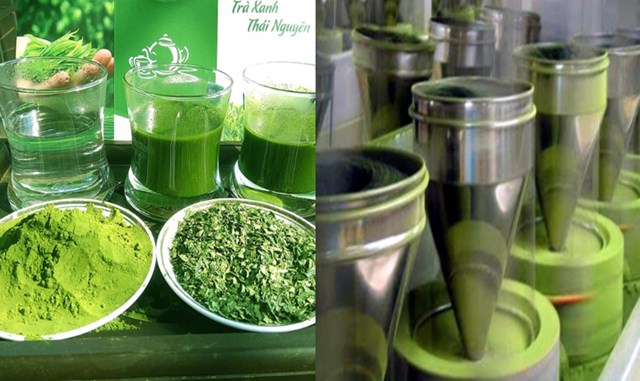 Cụ thể hóa dự án matcha tại Thái Nguyên, đẩy mạnh xanh hóa sản phẩm và khai thác nền tảng số để chinh phục giới trẻ, chè Việt đang tìm thấy lối đi bền vững trong kỷ nguyên tiêu dùng hiện đại. Ảnh minh họa