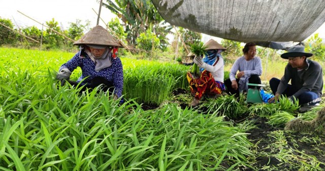 Bản tin n&#244;ng sản 17/7: H&#224;ng h&#243;a chưa giảm theo gi&#225; xăng, dầu - Ảnh 3