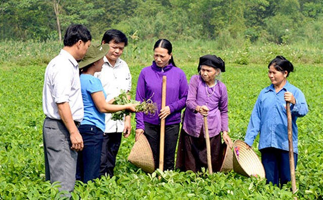 Bản tin n&#244;ng sản 20/7: Kh&#244;ng thể bỏ qu&#234;n an to&#224;n n&#244;ng phẩm - Ảnh 2