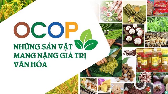 Chương tr&#236;nh OCOP: Động lực ph&#225;t triển kinh tế n&#244;ng th&#244;n Việt Nam - Ảnh 1