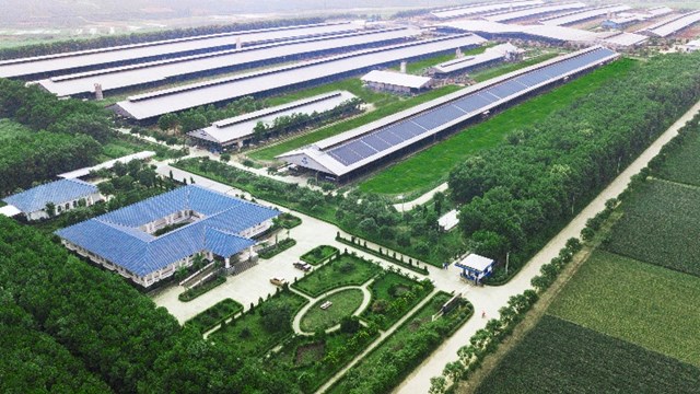 Trang trại “Green Farm”, “trung h&#242;a Carbon” – những bước ch&#226;n đầu ti&#234;n của Vinamilk trong lộ tr&#236;nh đến Net Zero - Ảnh 3