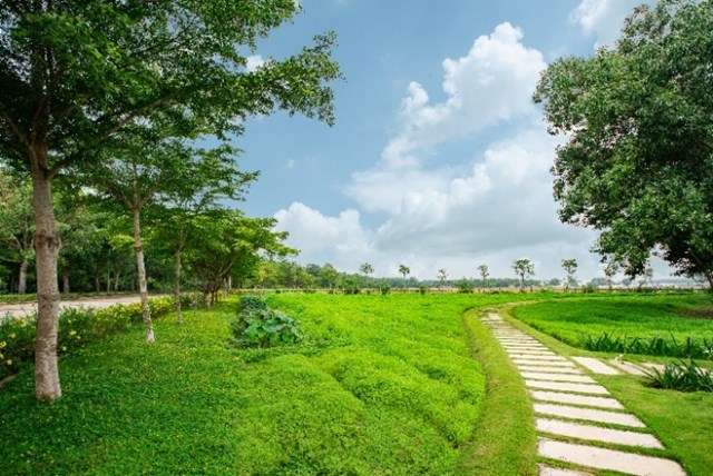 Trang trại “Green Farm”, “trung h&#242;a Carbon” – những bước ch&#226;n đầu ti&#234;n của Vinamilk trong lộ tr&#236;nh đến Net Zero - Ảnh 2