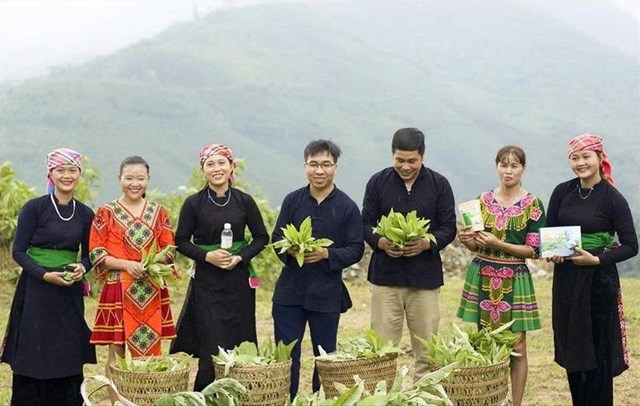 Start-up về qu&ecirc;: L&agrave;n s&oacute;ng khởi nghiệp n&ocirc;ng th&ocirc;n thời 4.0 &nbsp;
