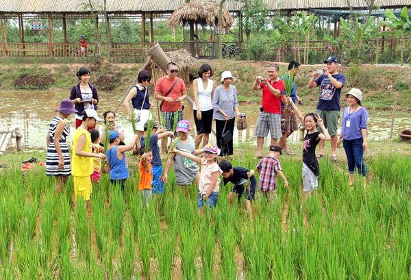 L&#224;ng qu&#234; khởi sắc từ những m&#244; h&#236;nh n&#244;ng nghiệp s&#225;ng tạo - Ảnh 2