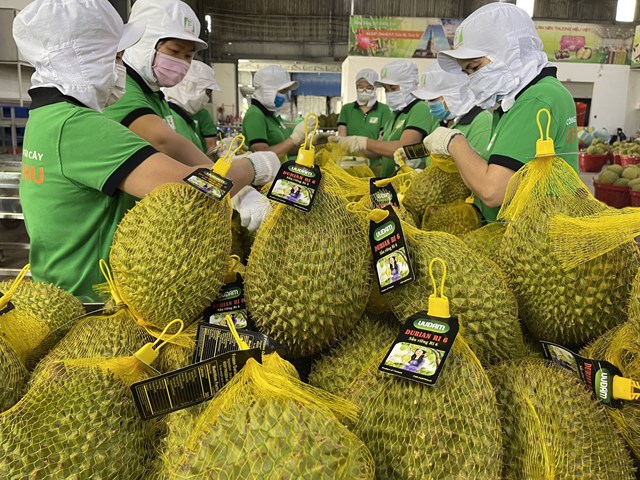 ASEAN: Mảnh đất m&#224;u mỡ cho n&#244;ng, l&#226;m, thủy sản Việt Nam - Ảnh 1