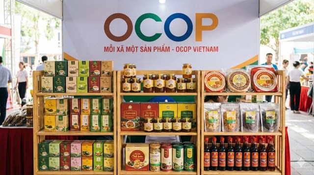 Bảo vệ thương hiệu OCOP và đặc sản địa phương trước áp lực hàng nhái - Ảnh 2