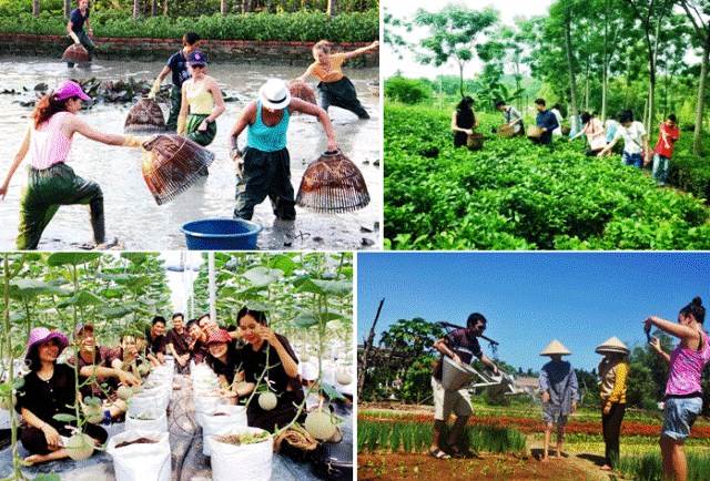 Bản tin n&#244;ng sản 31/7: Kết nối ti&#234;u thụ n&#244;ng sản v&#224; ph&#225;t triển du lịch sinh th&#225;i - Ảnh 1