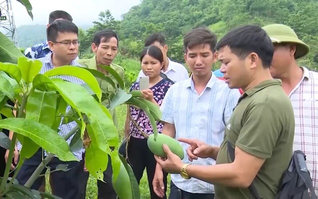 Ảnh minh hoạ. &nbsp;